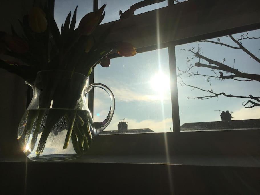 Brighton Boutique Garden Studio With Free Parking Экстерьер фото